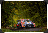 Esapekka Lappi in forest at Central European Rally
(Click picture to see larger version in a pop-up window)