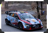 Thierry Neuville
(Click picture to see larger version in a pop-up window)