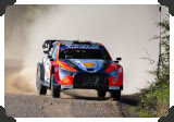 Thierry Neuville
(Click picture to see larger version in a pop-up window)