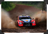 Thierry Neuville
(Click picture to see larger version in a pop-up window)