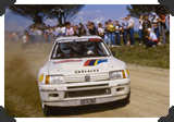 Ari Vatanen
(Click picture to see larger version in a pop-up window)