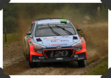 Hayden Paddon
(Click picture to see larger version in a pop-up window)