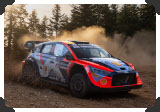 Thierry Neuville
(Click picture to see larger version in a pop-up window)