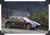Thierry Neuville
(Click picture to see larger version in a pop-up window)